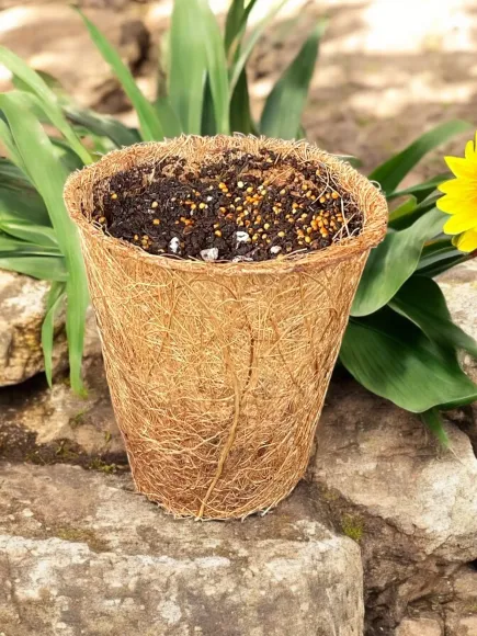 Sản Phẩm Từ Xơ Dừa – Giải Pháp Thay Thế Nhựa Bền Vững