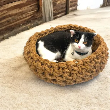 RỔ CÀO VÀ ĐỒ CHƠI CHO PET