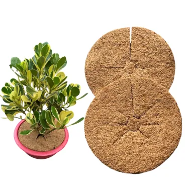 THẢM XƠ DỪA CHỐNG CỎ