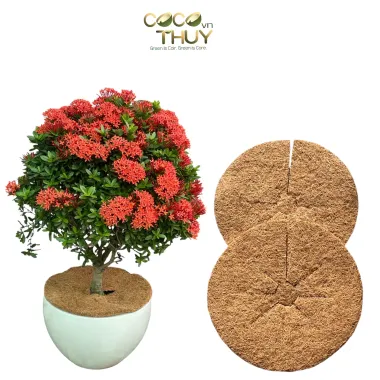 THẢM XƠ DỪA CHỐNG CỎ