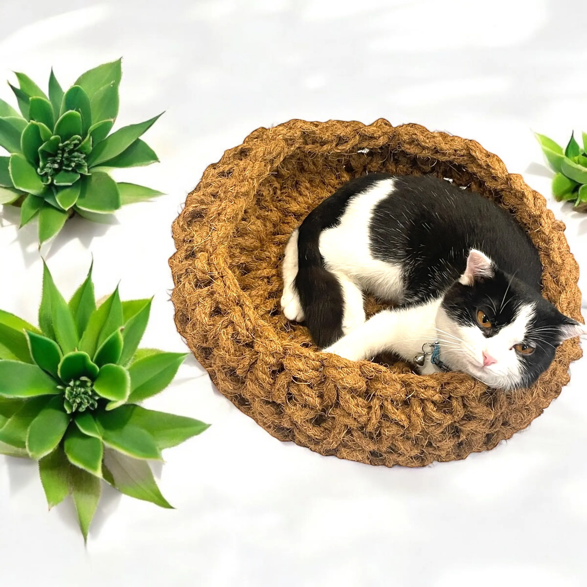 Sơ dừa dành cho chó mèo