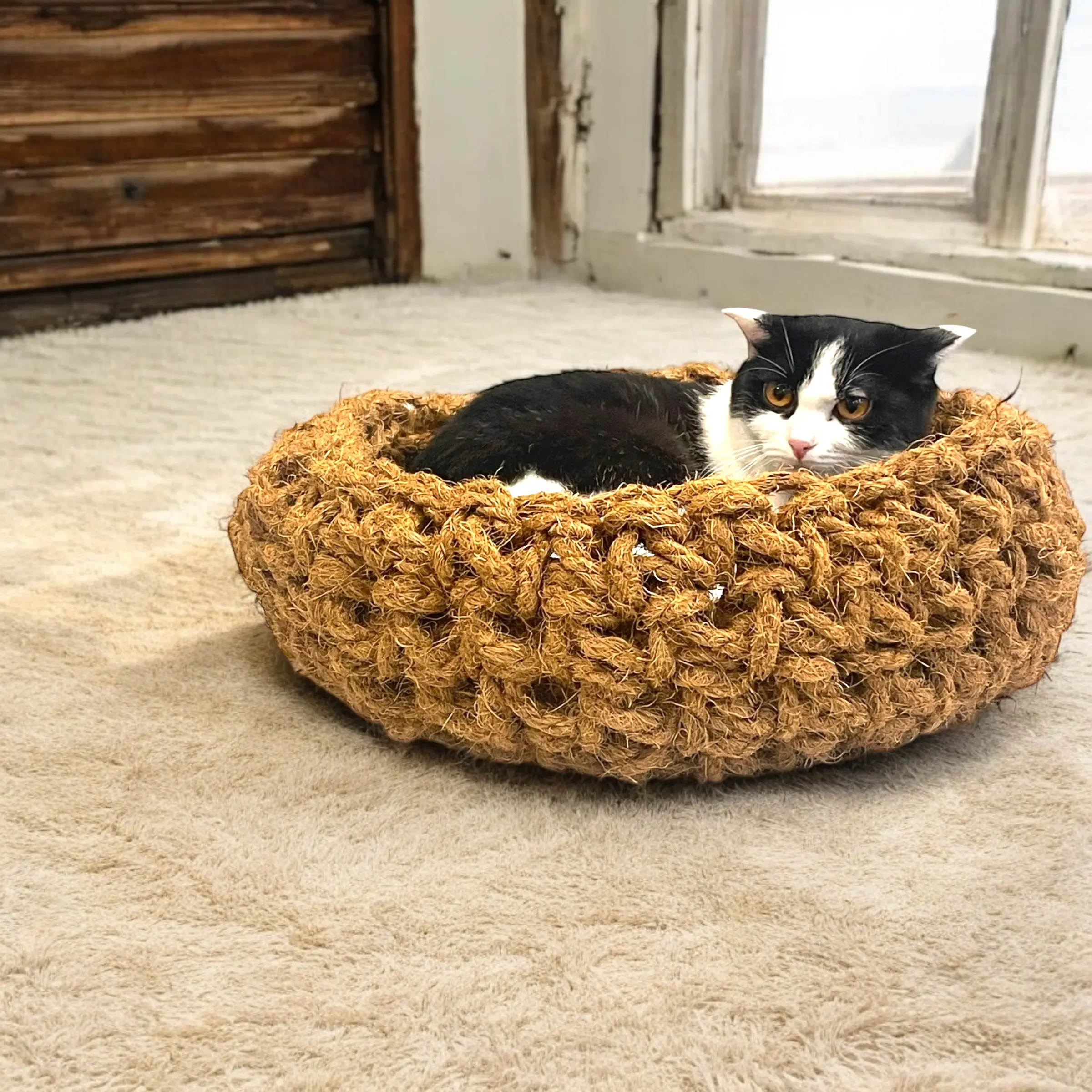 RỔ CÀO VÀ ĐỒ CHƠI CHO PET