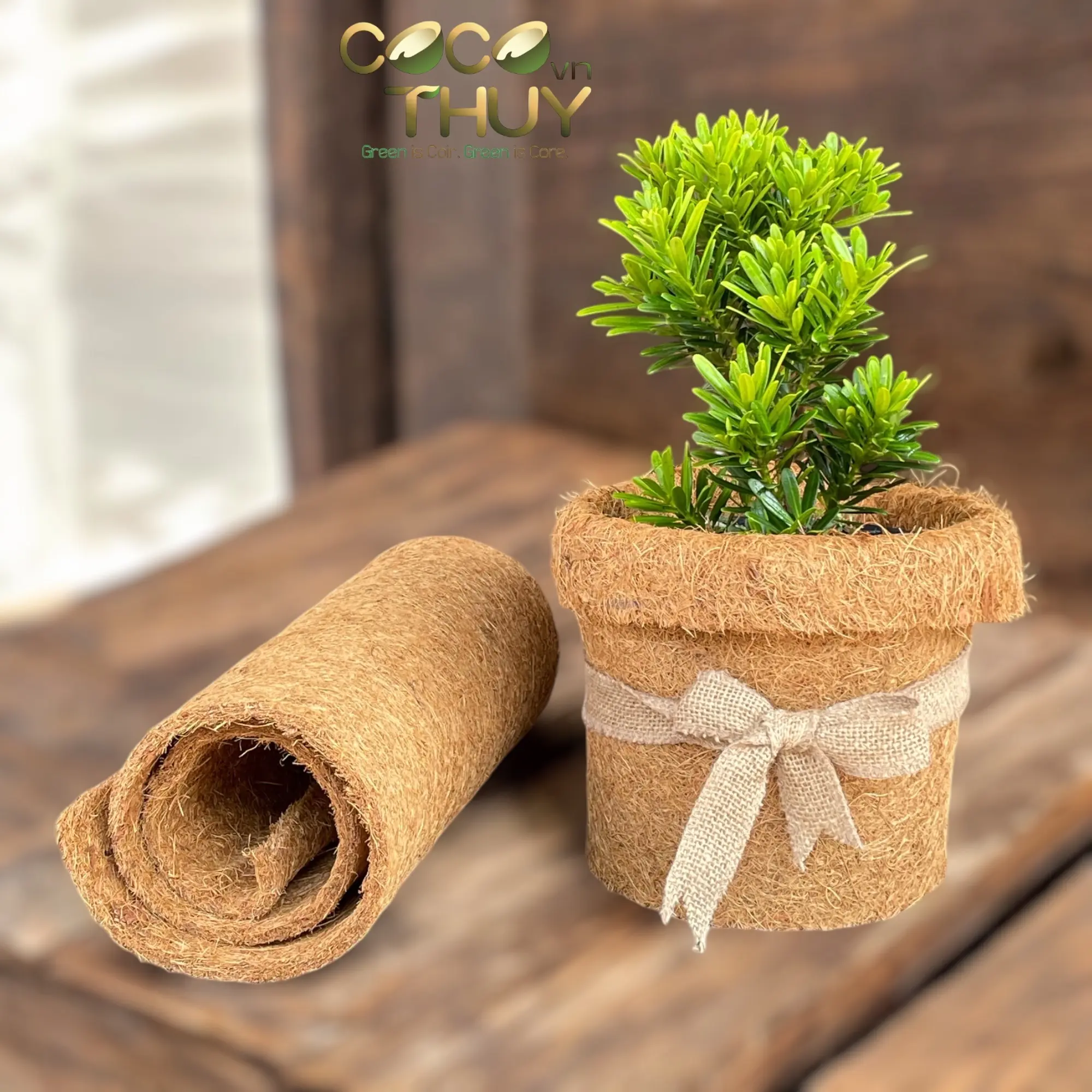 Sơ dừa tiêu dùng