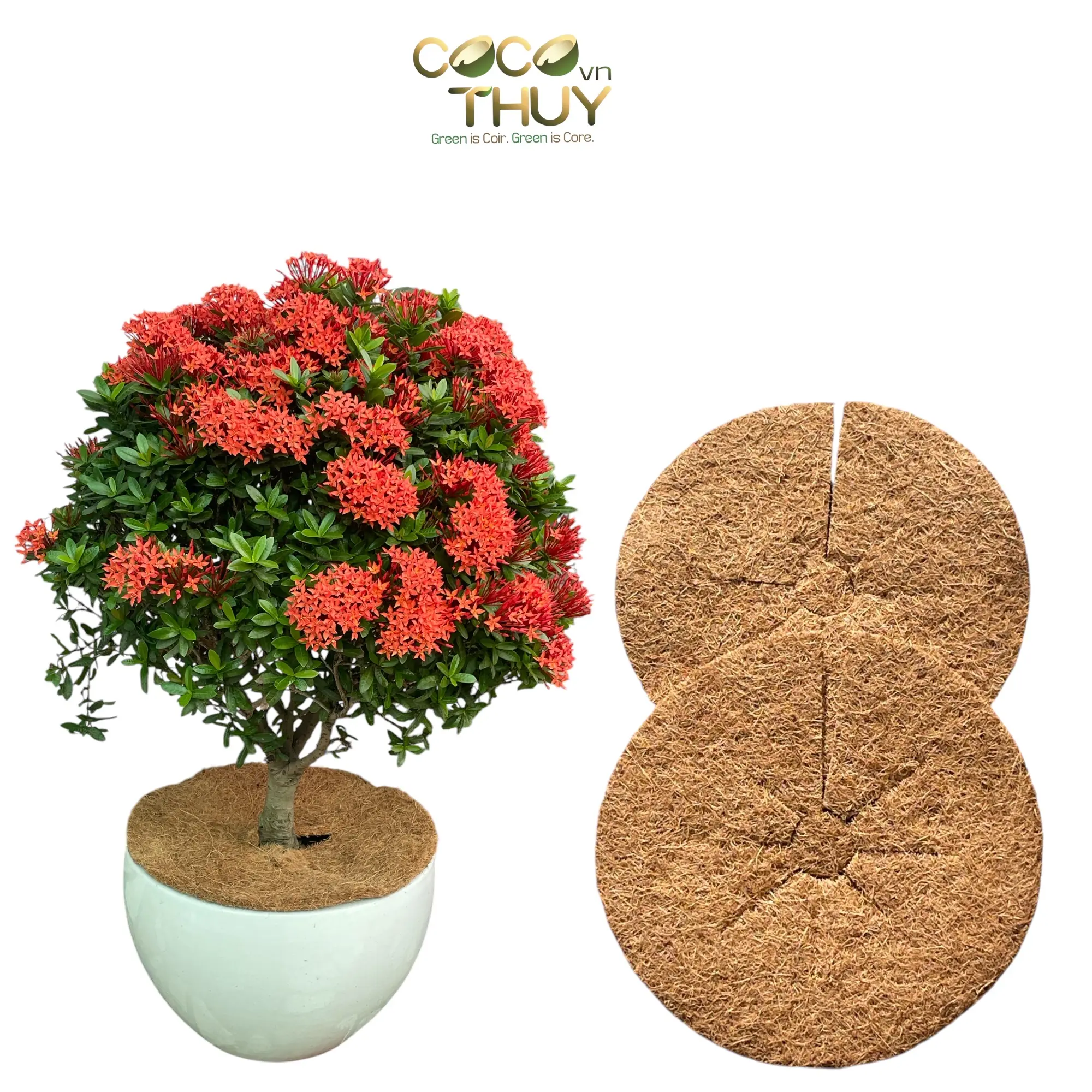 Vì Sao Bạn Nên Sử Dụng Sản Phẩm Của Chúng Tôi?